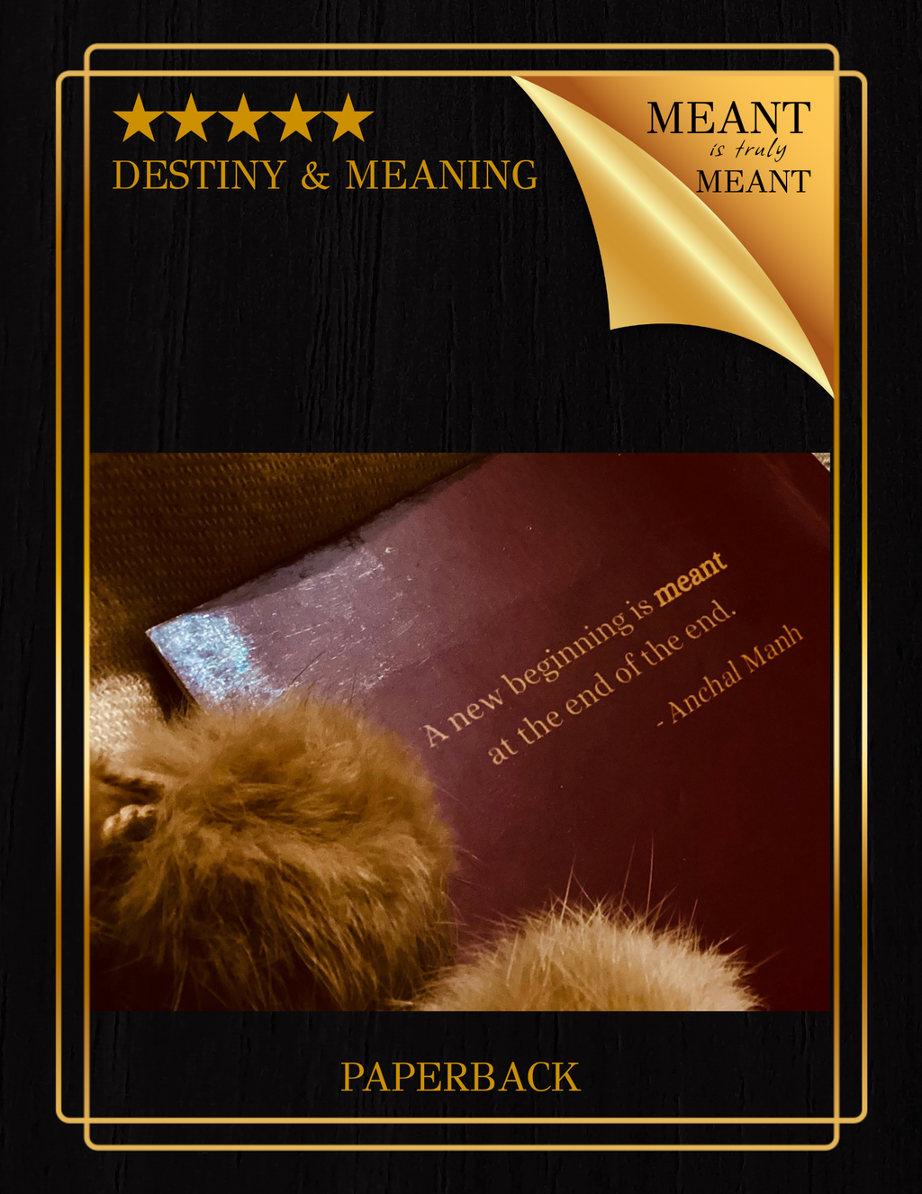 Meant (Destiny & Meaning)