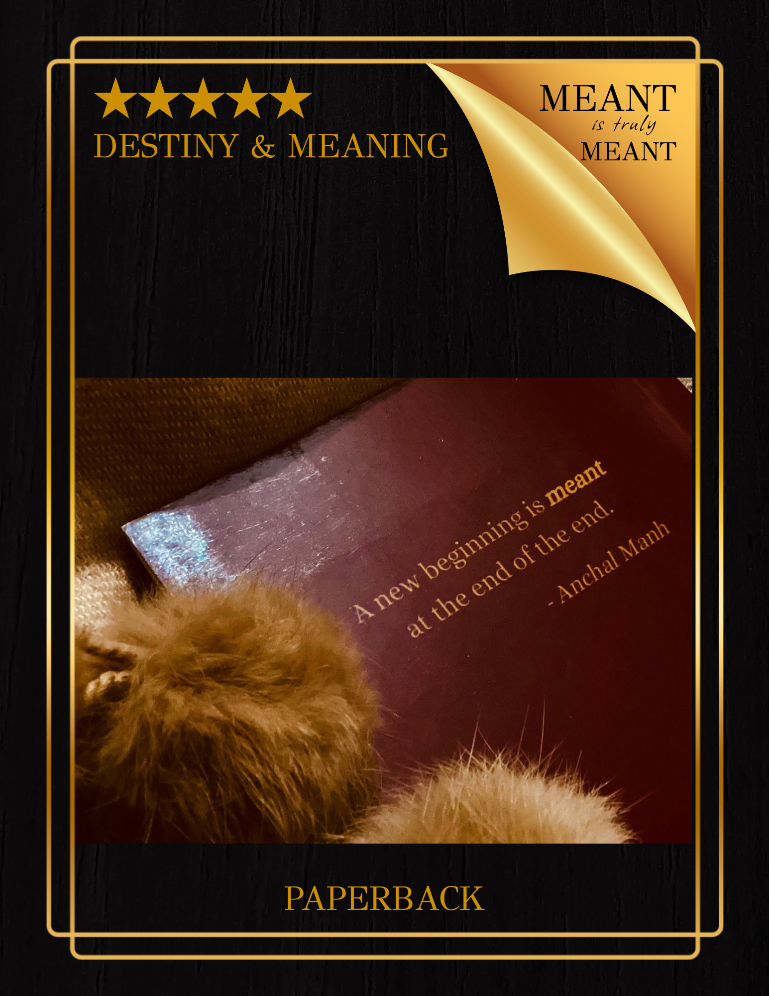 Meant (Destiny & Meaning)